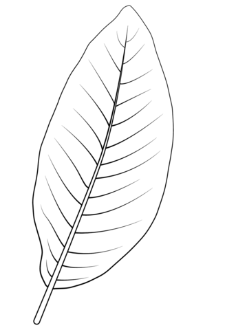 Shingle Oak Leaf Coloring Page